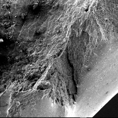 Margin of the perforated hole showing regions of fracture and a smooth appearance in the hole surface (right side of the figure).  This smooth aspect was generated by the film of melted material from the bullet.