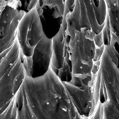 Fractographic detail of the ductile fracture generated by the projectile impact.  The material presented a sheared surface with elongated dimples.