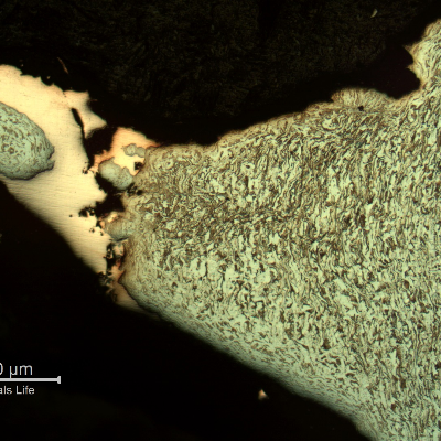 Micrography of the damaged plate at the side of the bullet impact, top of the figure. The perforated hole expulsed the material to the top and bottom directions and the copper alloy is evident at the hole surface.After etching it is clear the strong plastic deformation of the plate microstructure and the hardness level close to the hole increased from 151 HV to 308 HV (1kg).