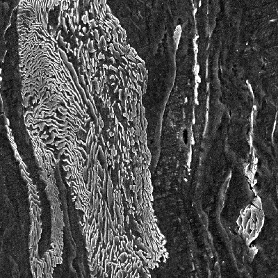 Micrography the ferritic-pearlitic structure close to the region where the projectile penetrate the plate.