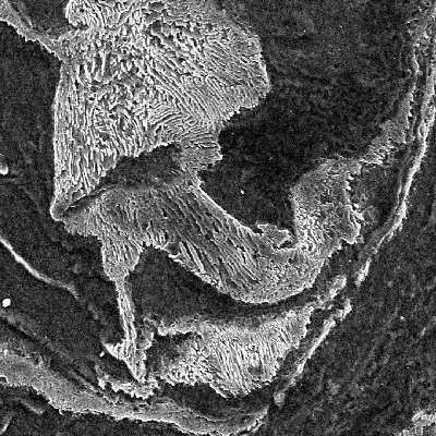 Micrography the ferritic-pearlitic structure close to the region where the projectile penetrate the plate.