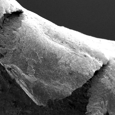 Detail of the margin of the perforated hole in the impact position.  It is interesting to observe extreme plastic deformation created by the perforation expulsing the material from the hole, in the direction of the impact.