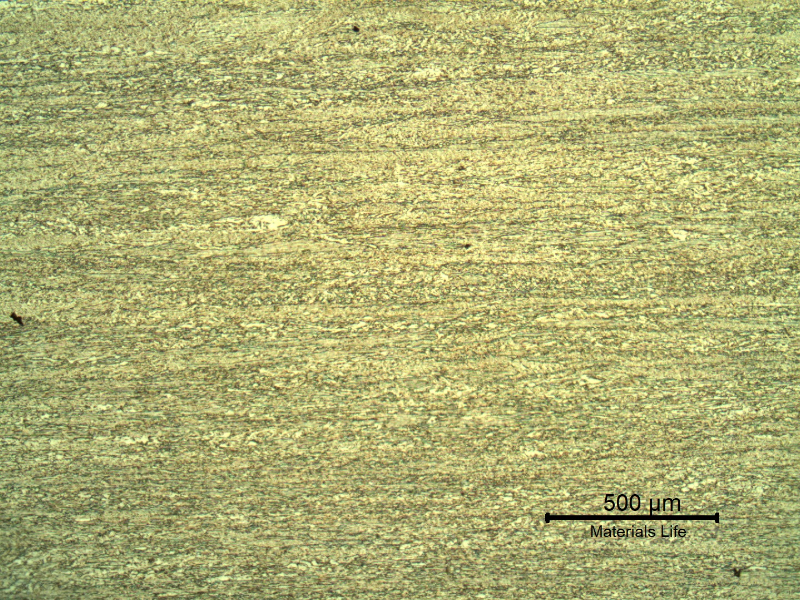 Micrography of the plate in the middle of the thickness, showing the aligned structure tyical of a rolling process. The sample was mechanically-electrolitically polished and etched with HF (10%) + HNO3 (5%) +H2O (85%) solution.