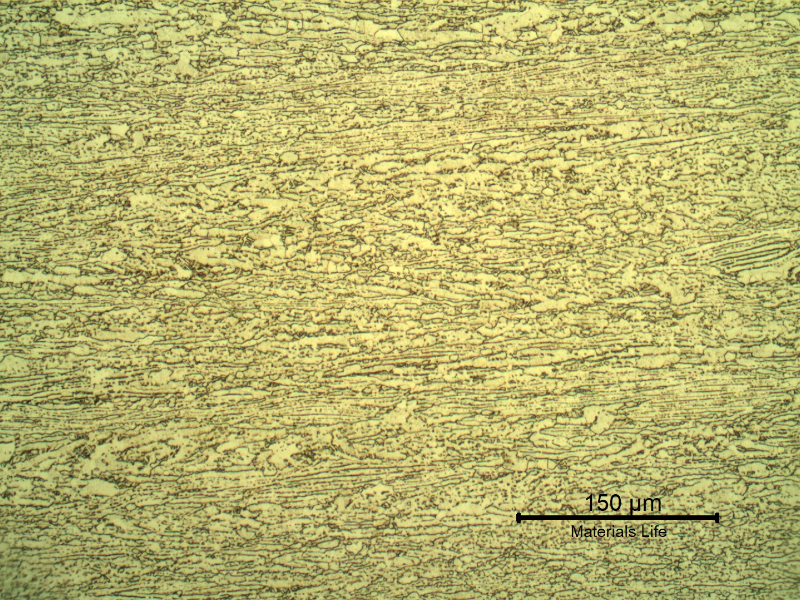 Micrography showing the alpha plus beta microstructure in the middle of the thickness. The sample was mechanically-electrolitically polished and etched with HF (10%) + HNO3 (5%) +H2O (85%) solution.