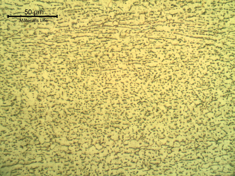 Micrographic detail of the plate, showing the alpha (light grains as a matrix) plus beta (dark phase) microstructure. Etched with HF (10%) + HNO3 (5%) +H2O (85%) solution.