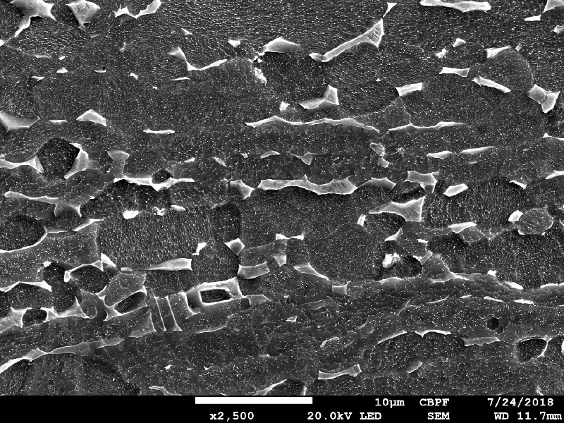 Micrography by SEM of the plate in the middle of the thickness, showing the alpha microstructure (dark grains) and the beta phase (light). Etched with HF+HNO3+H2O.
