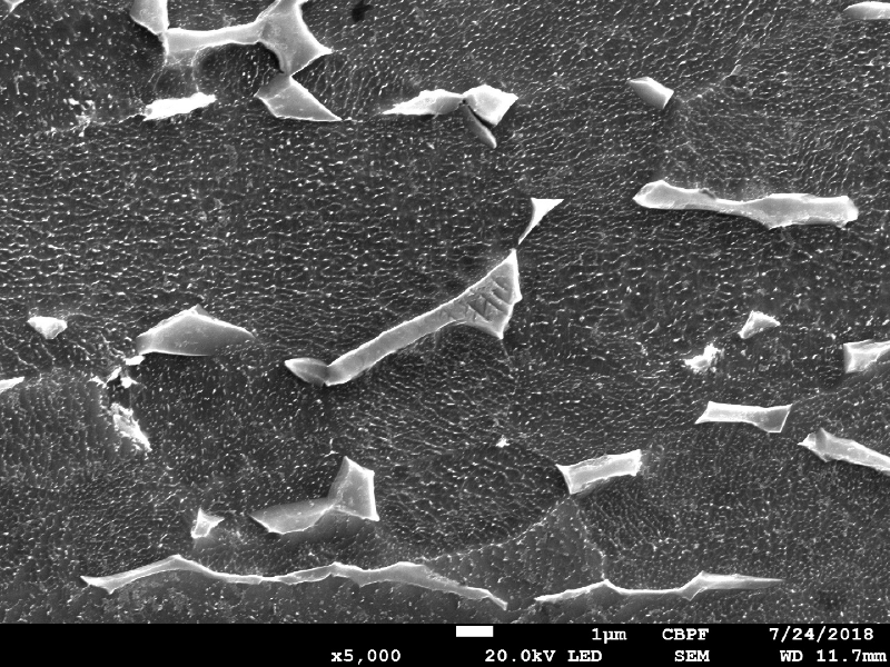 Micrography of the plate in a section, showing the alpha grains plus beta phase microstructure in the middle of the thickness. The sample was mechanically-electrolitically polished and etched with HF+HNO3+H2O solution.
