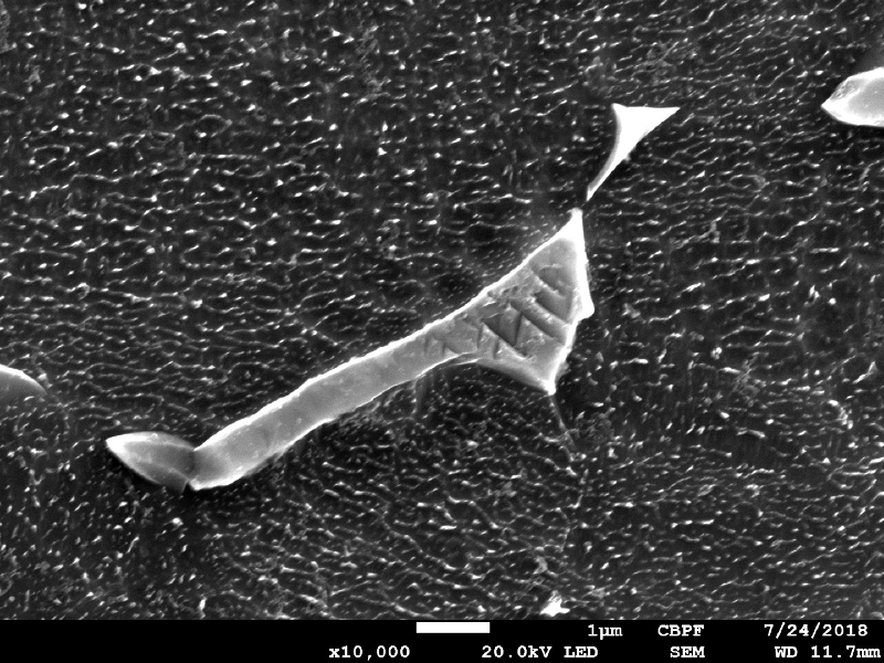 Micrographic detail by SEM, showing the beta phase  EDS analysis was conducted in this microstructure and the results indicated 90.8%Ti + 6.8%Al + 2.4%V for the alpha phase (the dark grains as a matrix); and 84.7%Ti + 5.2%Al + 8.8%V + 1.2%Fe for the beta phase (light with aicular morphology inside the phase).