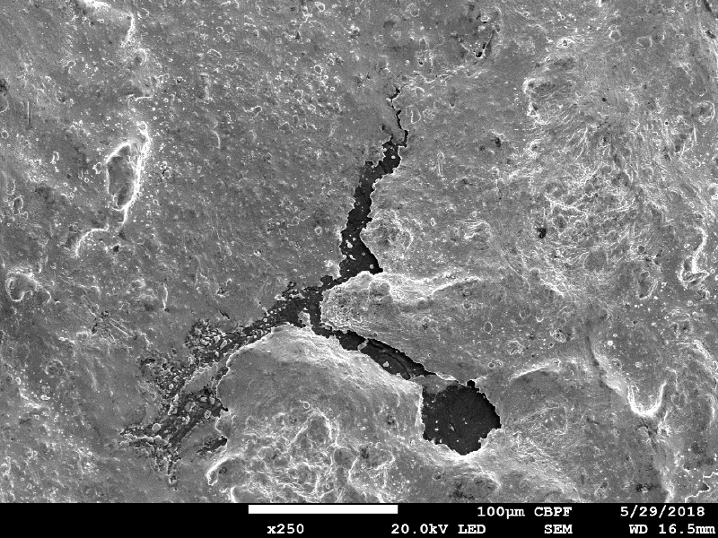 Aspect of the surface of the plate, by scanning electron microscopy, in the center of the projectile impact position, showing the melted bullet covering the surface.