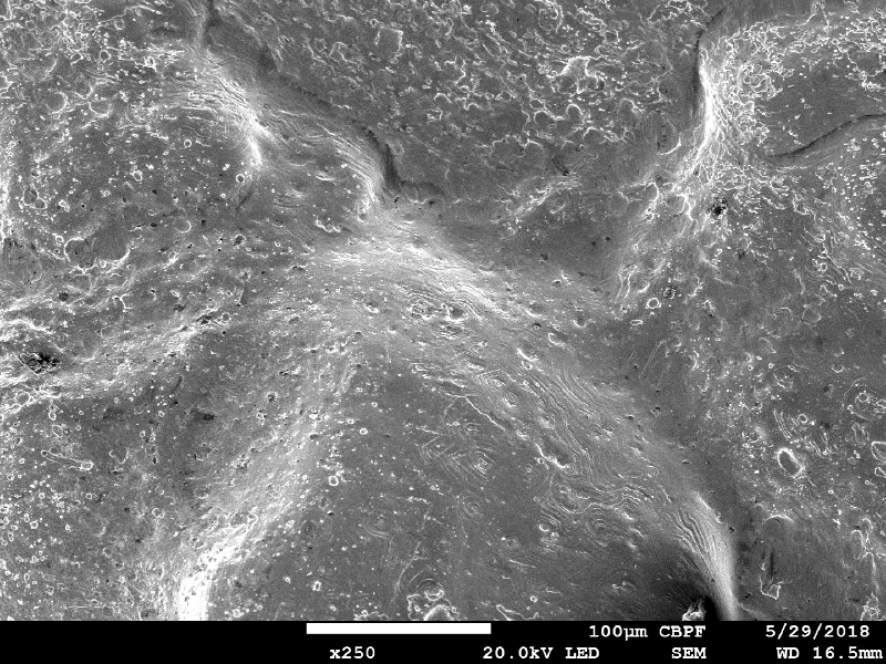 Aspect of the surface of the plate, by scanning electron microscopy, out of the center of the projectile impact position, showing that the melted bullet covered a large part of the surface.
