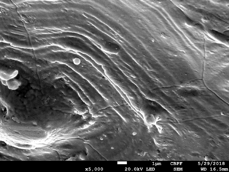 Detailed aspect of the surface of the plate, out of the center of the projectile impact position, showing that the melted bullet covered a large part of the surface.