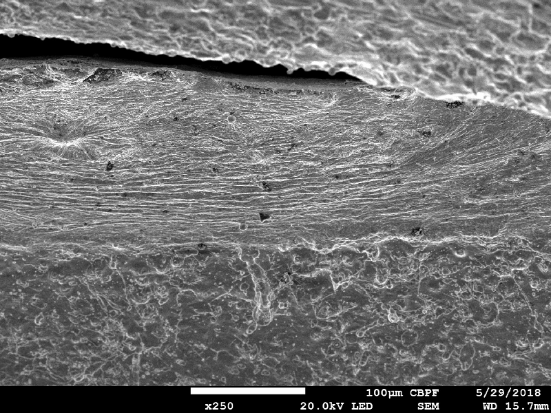 Aspect of the surface of the plate, by scanning electron microscopy, at the margin of the projectile impact position,  showing a round crack (in the top of the figure).