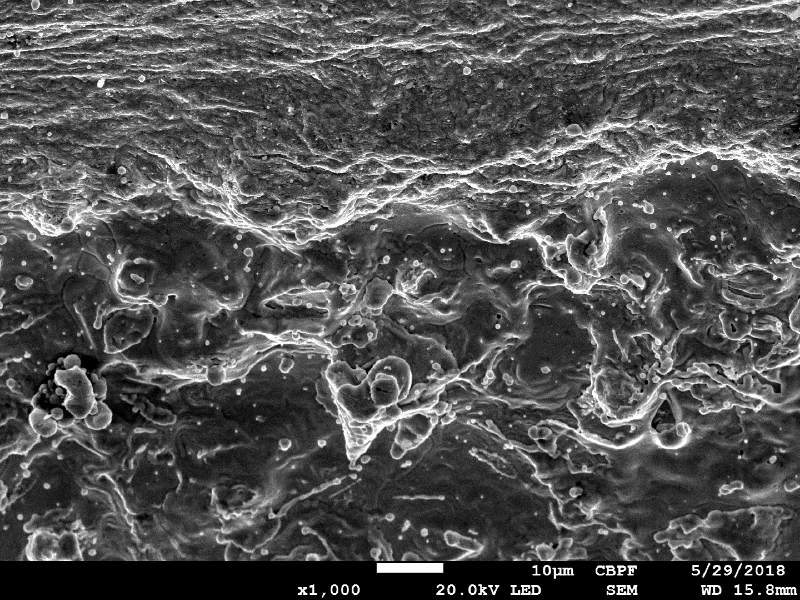Aspect of the surface of the plate, by scanning electron microscopy, at the margin of the projectile impact position,  showing a melted film over the surface.