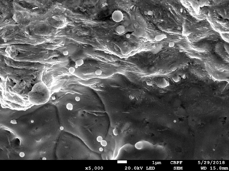Detailed aspect of the surface of the plate, by scanning electron microscopy, at the margin of the projectile impact position,  showing a melted film over the surface.