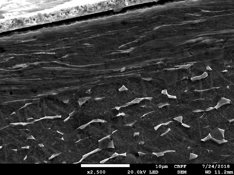Micrography by scanning electron microscopy of the plate section, close to the surface that suffered the impact. The projectile melted and created a film at the surface. The plate material presented a localized plastic deformation, aligning the grains.  HF+HNO3+H2O chemical etch.