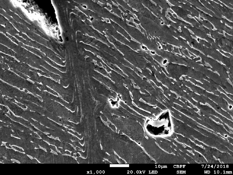 Micrographic detail by scanning electron microscopy of the shearing of the material due to the projectile impact.  It is a very localized plastic deformation effect, and there are several microvoids opening in the microstructure (phase boundaries).  HF+HNO3+H2O chemical etch.