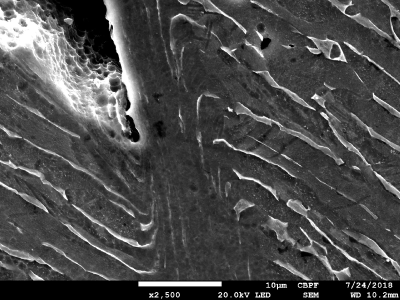 Micrographic detail by scanning electron microscopy of the shearing of the material due to the projectile impact.  Inside the cracks it is possible to see dimples,  HF+HNO3+H2O chemical etch.