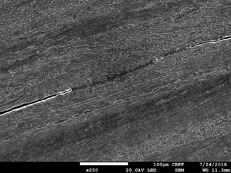 Micrographic detail by scanning electron microscopy of the longitudinal ductile secondary cracks.  HF+HNO3+H2O chemical etch.