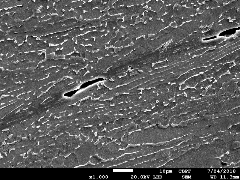 Micrographic detail by scanning electron microscopy of the very localized plastic deformation between inclusions in the material creating longitudinal ductile secondary cracks.  HF+HNO3+H2O chemical etch.