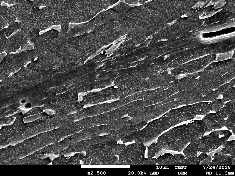Micrographic detail by scanning electron microscopy of the very localized plastic deformation between inclusions in the material creating longitudinal ductile secondary cracks. HF+HNO3+H2O chemical etch.