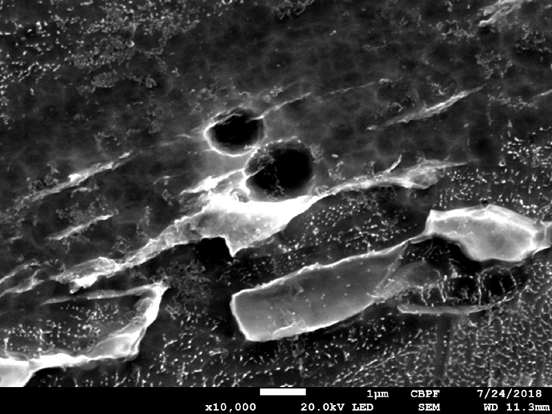 Micrographic detail by scanning electron microscopy of the very localized plastic deformation between inclusions in the material creating microvoids.  HF+HNO3+H2O chemical etch.