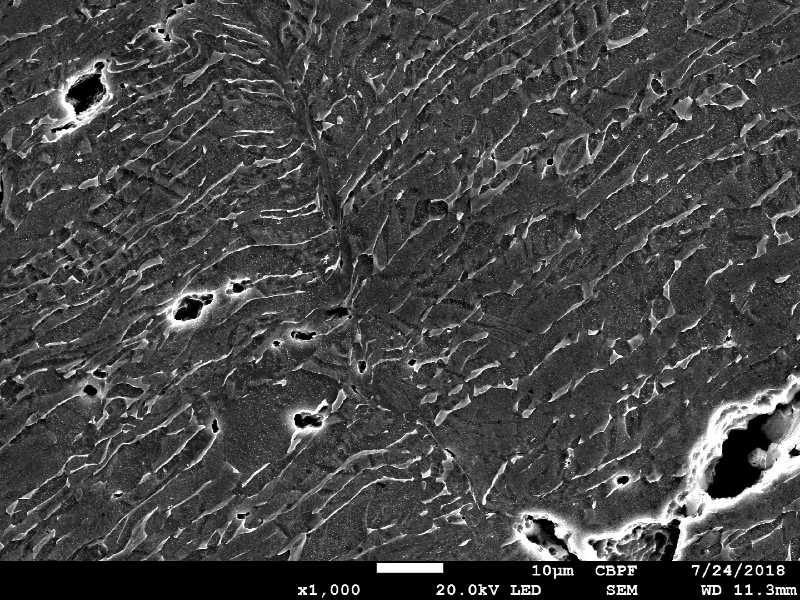 Micrographic detail by SEM of the shearing of the plate in a very localized effect and there are several microvoids opening in the microstructure (phase boundaries).  HF+HNO3+H2O chemical etch.