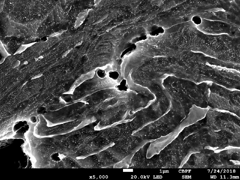 Micrographic detail by scanning electron microscopy of the shearing of the material due to the projectile impact.  It is a very localized plastic deformation effect, and there are several microvoids opening in the microstructure (at phase boundaries).  HF+HNO3+H2O chemical etch.
