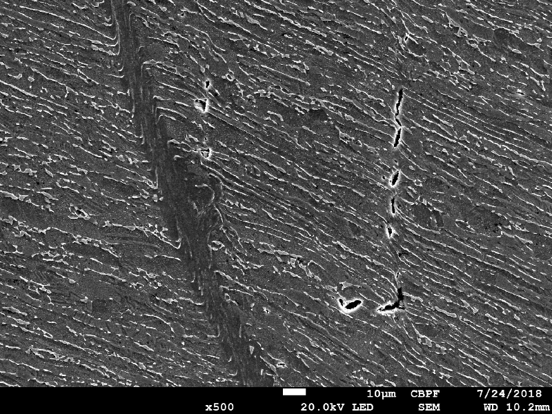 The same region of the previous optical micrography when observed by scanning electron microscopy, evidencing the shearing of the material due to the projectile impact.  It is a very localized effect and that is why the material did not increase the hardness level too much.   HF+HNO3+H2O chemical etch.