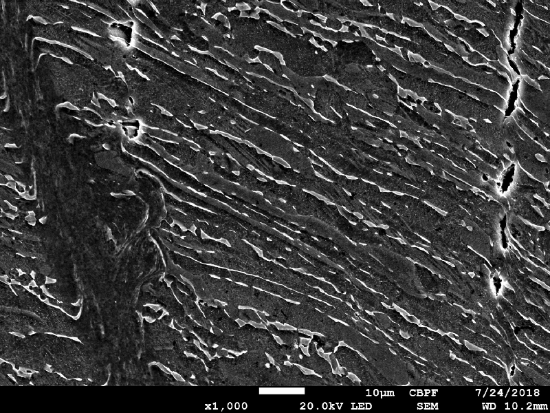 Micrographic detail by SEM of the shearing of the plate due to the projectile impact.  It is a very localized effect and that is why the material did not increase the macroscopic hardness level too much.  HF+HNO3+H2O chemical etch.