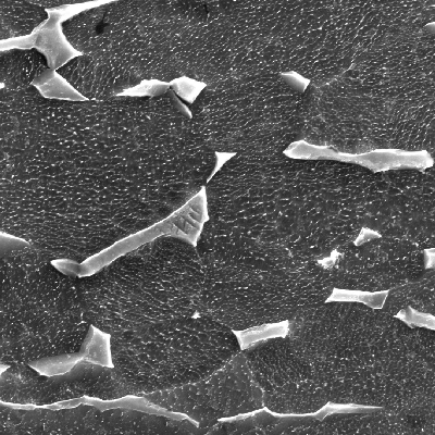 Micrography of the plate in a section, showing the alpha grains plus beta phase microstructure in the middle of the thickness. The sample was mechanically-electrolitically polished and etched with HF+HNO3+H2O solution.