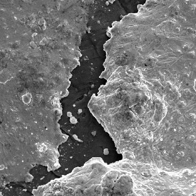 Detailed aspect of the surface of the plate at the projectile impact position.