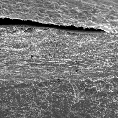 Aspect of the surface of the plate, by scanning electron microscopy, at the margin of the projectile impact position, showing a round crack (in the top of the figure).