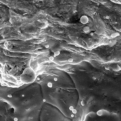 Detailed aspect of the surface of the plate, by scanning electron microscopy, at the margin of the projectile impact position, showing a melted film over the surface.
