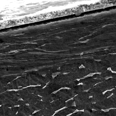 Micrography by scanning electron microscopy of the plate section, close to the surface that suffered the impact. The projectile melted and created a film at the surface. The plate material presented a localized plastic deformation, aligning the grains. HF+HNO3+H2O chemical etch.