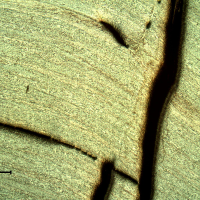 Micrography of the damaged plate at the side of the bullet impact, top of the figure. The projectile, impacted in the right side of the crack, sheared the plate but did not perforate it and created several longitudinal ductile secondary cracks.  HF+HNO3+H2O chemical etch.
