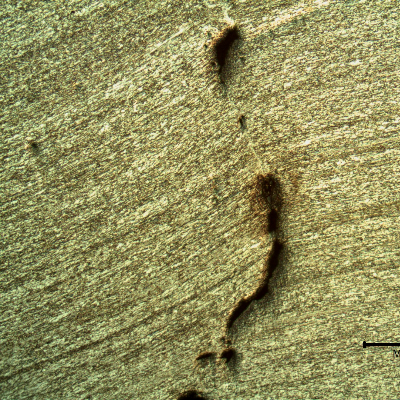 Micrography of the 3/8" thickness titanium alloy plate, in a section. The impact side of the plate is to the top of the figure. The plate was sheared through wall in a very localized position.  HF+HNO3+H2O chemical etch.