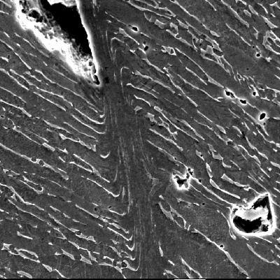 Micrographic detail by scanning electron microscopy of the shearing of the material due to the projectile impact. It is a very localized plastic deformation effect, and there are several microvoids opening in the microstructure (phase boundaries). HF+HNO3+H2O chemical etch.