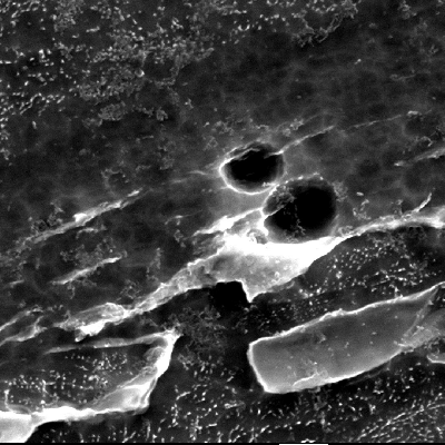 Micrographic detail by scanning electron microscopy of the very localized plastic deformation between inclusions in the material creating microvoids. HF+HNO3+H2O chemical etch.