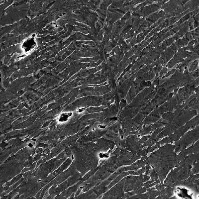 Micrographic detail by SEM of the shearing of the plate in a very localized effect and there are several microvoids opening in the microstructure (phase boundaries). HF+HNO3+H2O chemical etch.