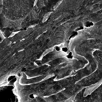Micrographic detail by scanning electron microscopy of the shearing of the material due to the projectile impact. It is a very localized plastic deformation effect, and there are several microvoids opening in the microstructure (at phase boundaries). HF+HNO3+H2O chemical etch.