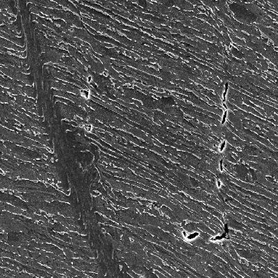 The same region of the previous optical micrography when observed by scanning electron microscopy, evidencing the shearing of the material due to the projectile impact. It is a very localized effect and that is why the material did not increase the hardness level too much. HF+HNO3+H2O chemical etch.