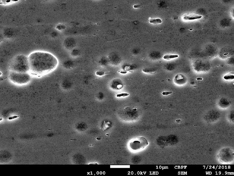 Micrography, by scanning electron microscopy. The alloy is a precipitation hardened material, and the stains at the surface are associated to differential etching in second phases and inclusions.