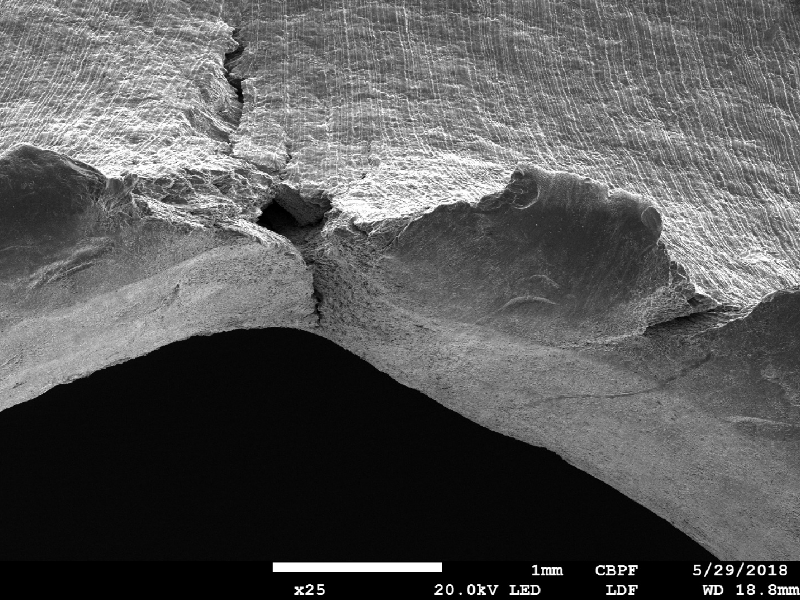 Detail of the margin of the perforated hole in the impact position. It is interesting to observe extreme plastic deformation created by the perforation expulsing the material from the hole, in the direction of the impact.