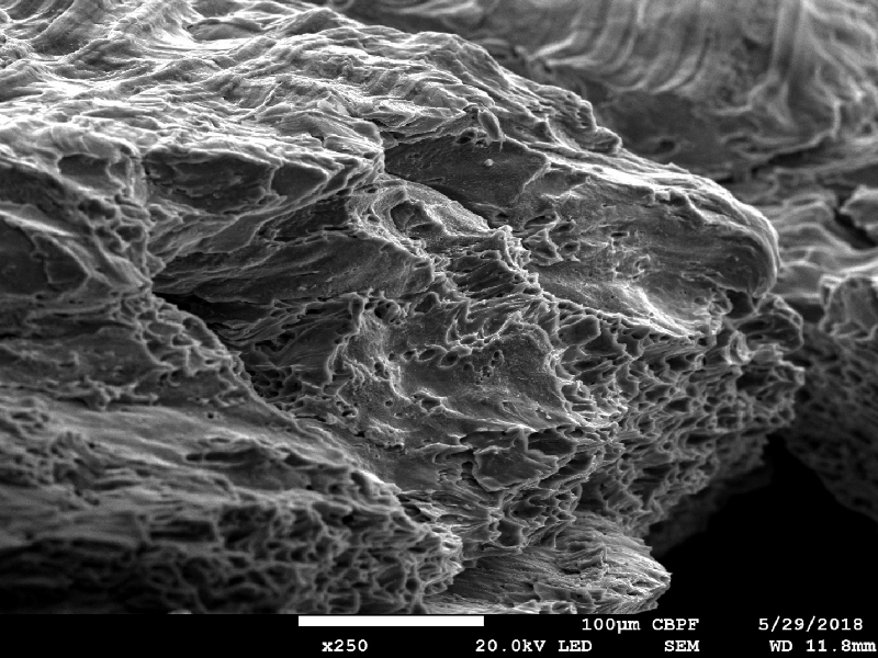 The fracture created by the projectile impact is fully ductile. The material presented a sheared surface with elongated dimples.