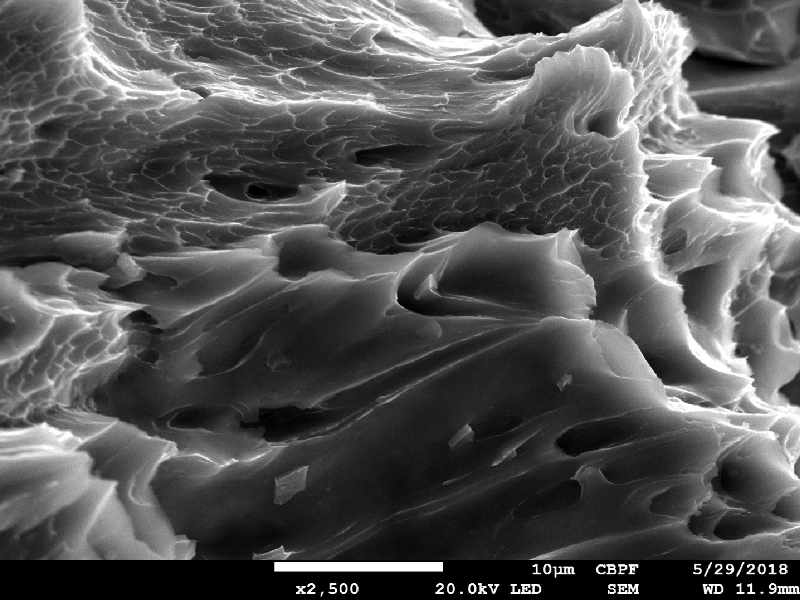 The fracture created by the projectile impact is fully ductile. The material presented a sheared surface with elongated dimples.