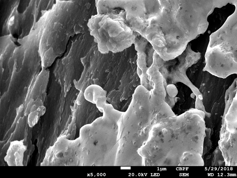 Detail of the perforated hole showing regions of melted material (from the bullet) in the sheared face.
