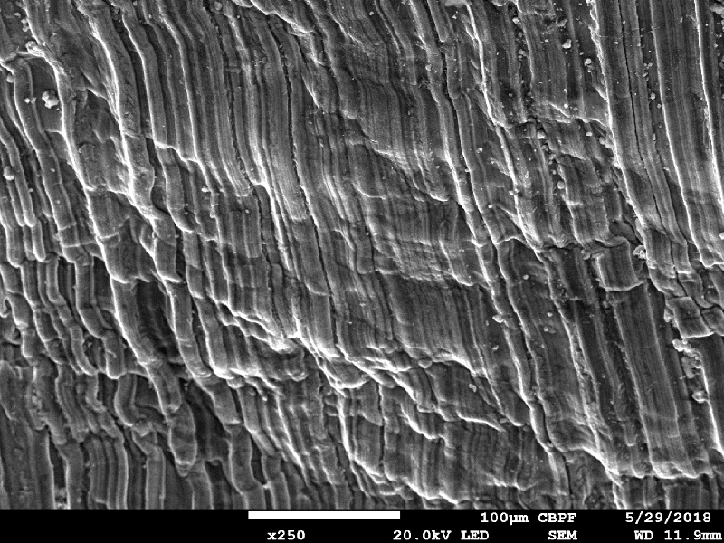 Detail of the plate surface showing striation as the finishing, deformed by the projectile effect in shearing the thickness.