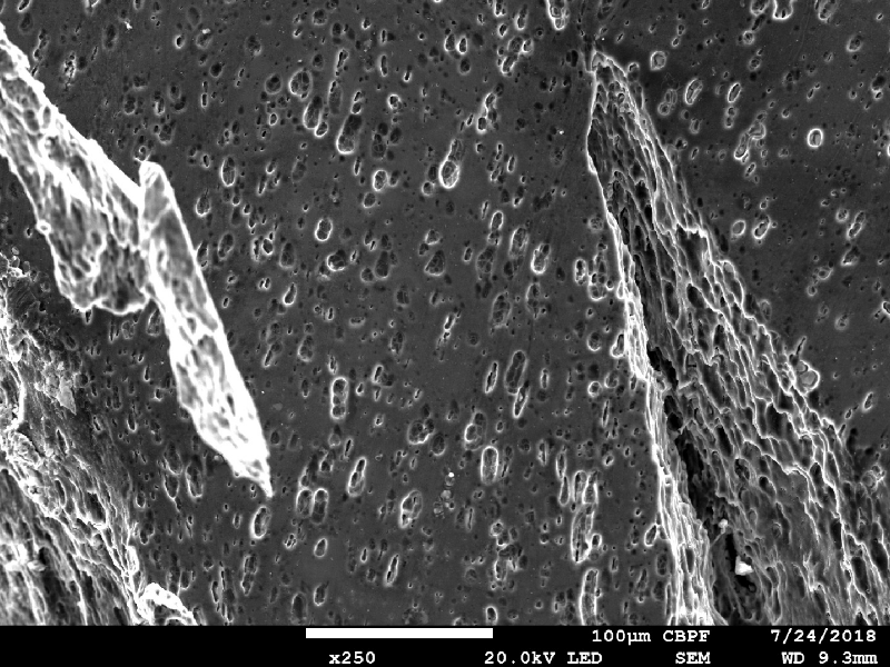 Micrography of the damaged plate close to the perforated hole, in the middle of the thickness, showing the strong plastic deformation of the structure and ductile secondary cracks.