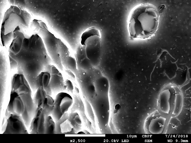 Micrographic detail of one ductile secondary crack.  The inclusions are broken and creating  cracks from them.