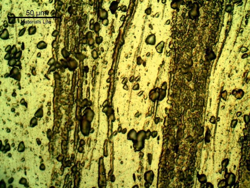 Micrographic detail of the grains highly deformed and transverse to the thickness.